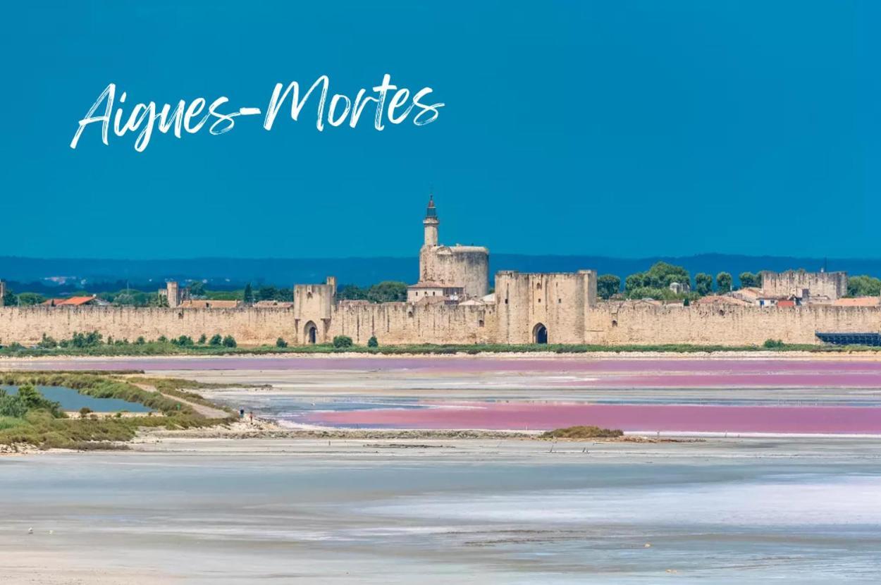 Apartment Le Victor Hugo - Intra Muros - Calme - Clim - Lumineux Avignon